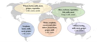 Fermented foods and cardiometabolic health: Definitions, current evidence, and future perspectives